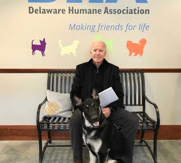 कुत्ते के साथ खेलते हुए जो बाइडेन को हुआ हेयरलाइन फ्रैक्चर