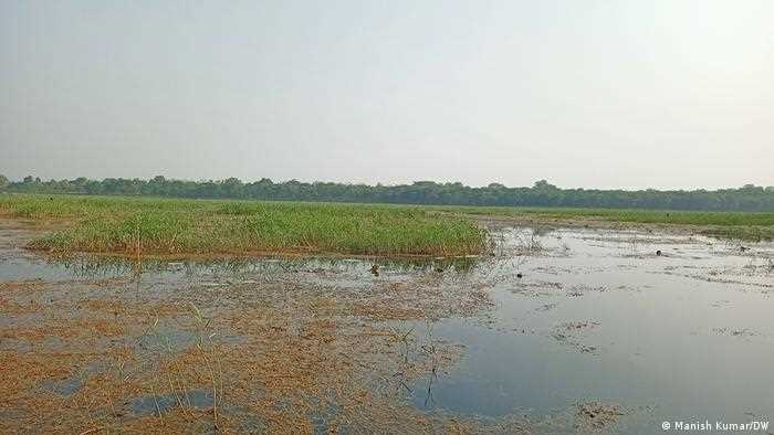 काबर झील में पानी ही नहीं बचेगा तो परिंदे कहां से आयेंगे काबर झील में पानी ही नहीं बचेगा तो परिंदे कहां से आयेंगे