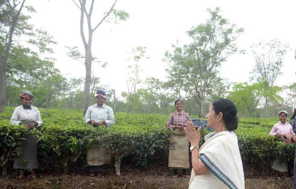 राज्य में कुछ बंद चाय बागानों का अधिग्रहण करेगी बंगाल सरकार: मुख्यमंत्री राज्य में कुछ बंद चाय बागानों का अधिग्रहण करेगी बंगाल सरकार: मुख्यमंत्री