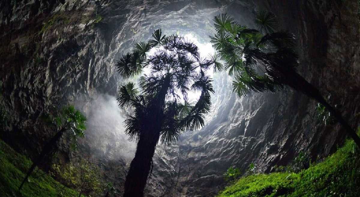 क्या ताड़ के पेड़ लोगों को आसमानी बिजली से बचा सकते हैं