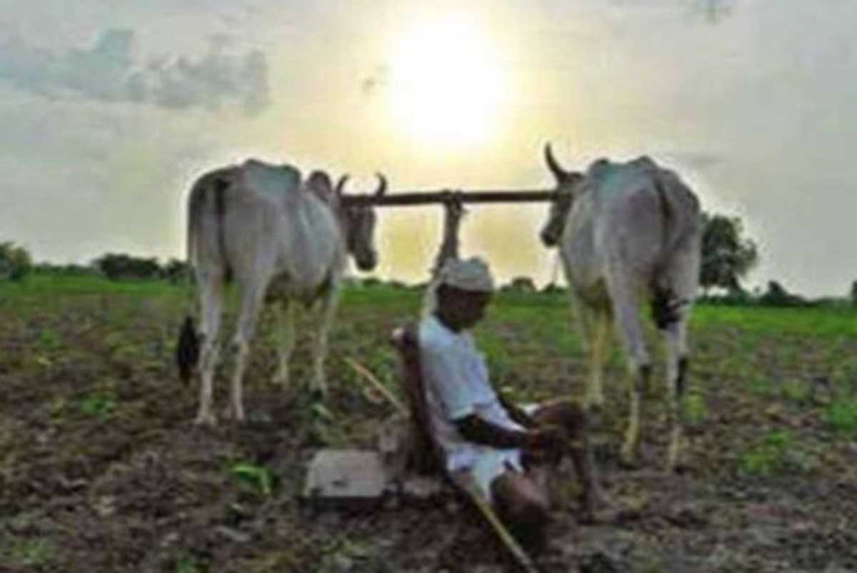 सिंचाई कर रहे किसान पर हमला, घायल