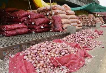 अफगानिस्तान ने घरेलू मांग को पूरा करने के लिए प्याज के निर्यात को रोका