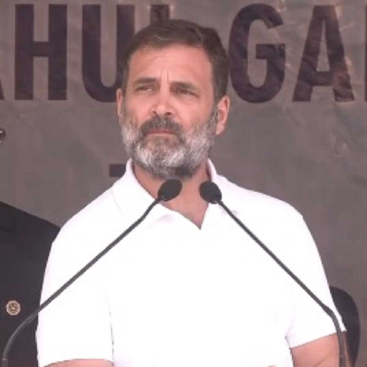 ये झूठ है कि चीन ने भारत की जमीन पर कब्जा नहीं किया है : कारगिल में राहुल गांधी ये झूठ है कि चीन ने भारत की जमीन पर कब्जा नहीं किया है : कारगिल में राहुल गांधी