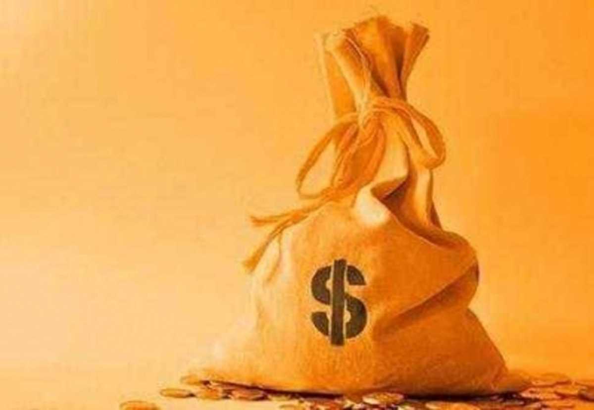 एफपीआई ने मई में 18,617 करोड़ रुपये की इक्विटी खरीदी