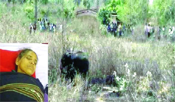 गांव में घुसे 4 हाथी, बिछड़े शावक को भगाने आग व पानी का सहारा