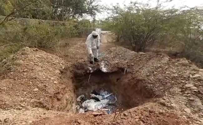 कोरोना वायरस के बीच राजस्थान में बर्ड फ्लू का भी प्रकोप