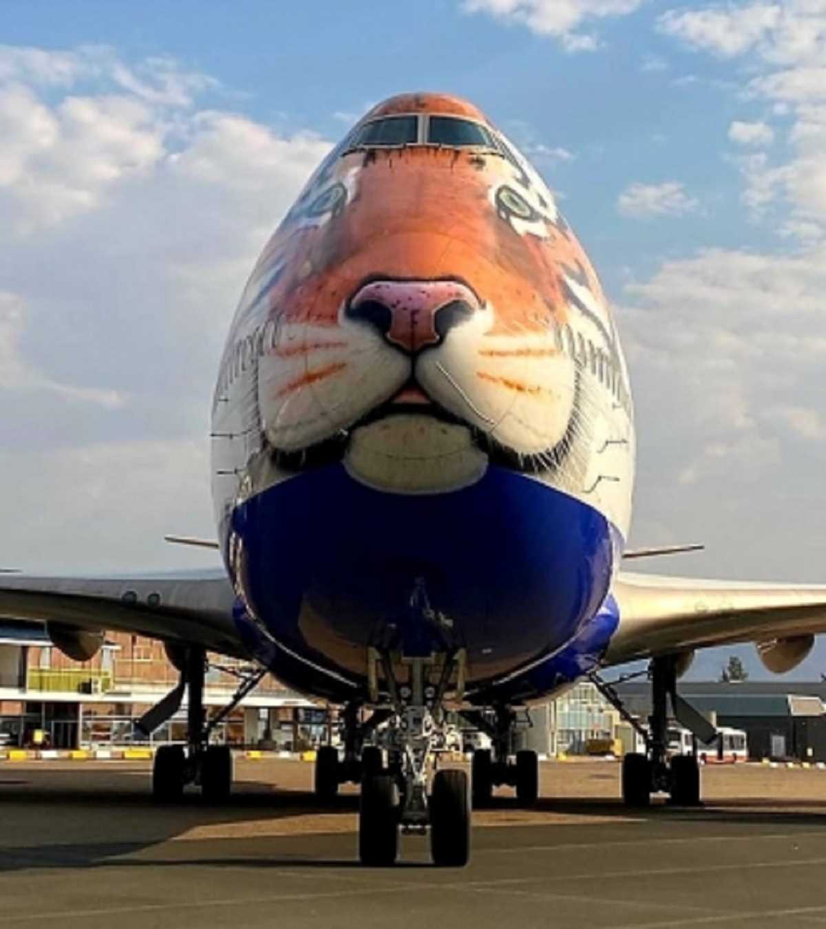 जयपुर की बजाय ग्वालियर उतरेगा चीतों को ला रहा विशेष विमान