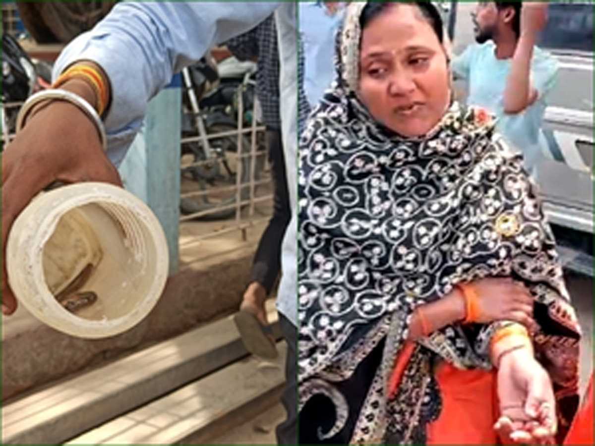 बिहार में मां को सांप ने काटा तो पुत्र सांप लिए पहुंचा अस्पताल, मची अफरा-तफरी बिहार में मां को सांप ने काटा तो पुत्र सांप लिए पहुंचा अस्पताल, मची अफरा-तफरी