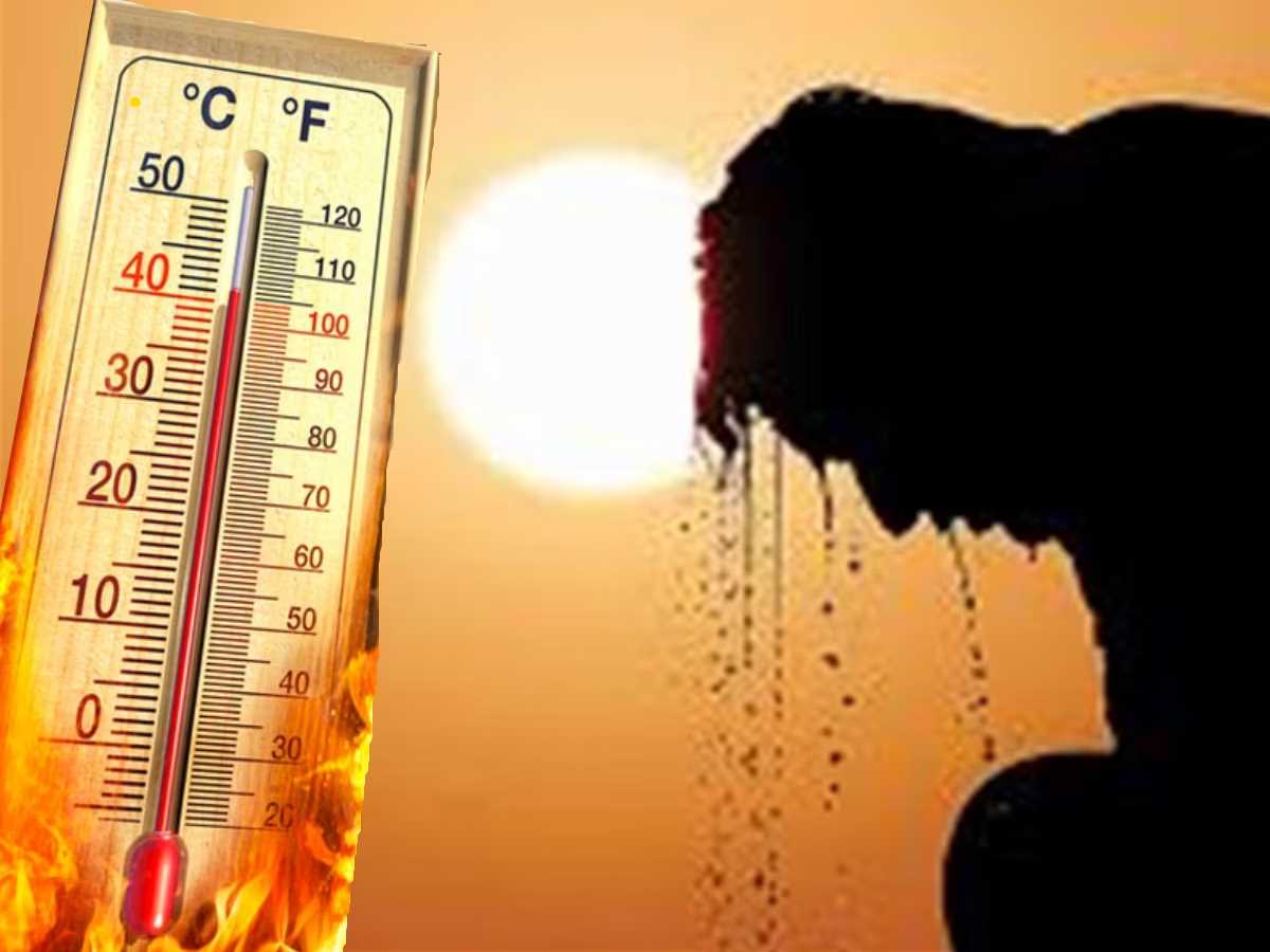 झारखंड में हीटवेव से 24 घंटे में 6 लोगों की मौत, पलामू में तापमान 47 डिग्री सेल्सियस के पार