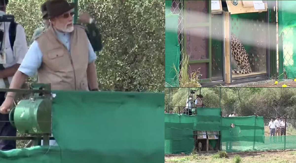 नरेंद्र मोदी ने नामीबिया से लाए चीतों को कूनो में छोड़ा