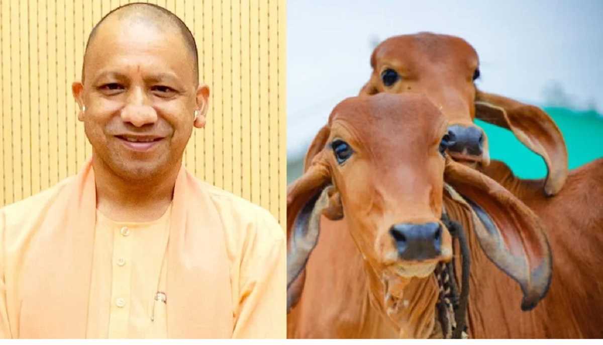 मिनी नंदिनी कृषक समृद्धि योजना के जरिए यूपी में दुग्ध क्रांति लाएगी योगी सरकार