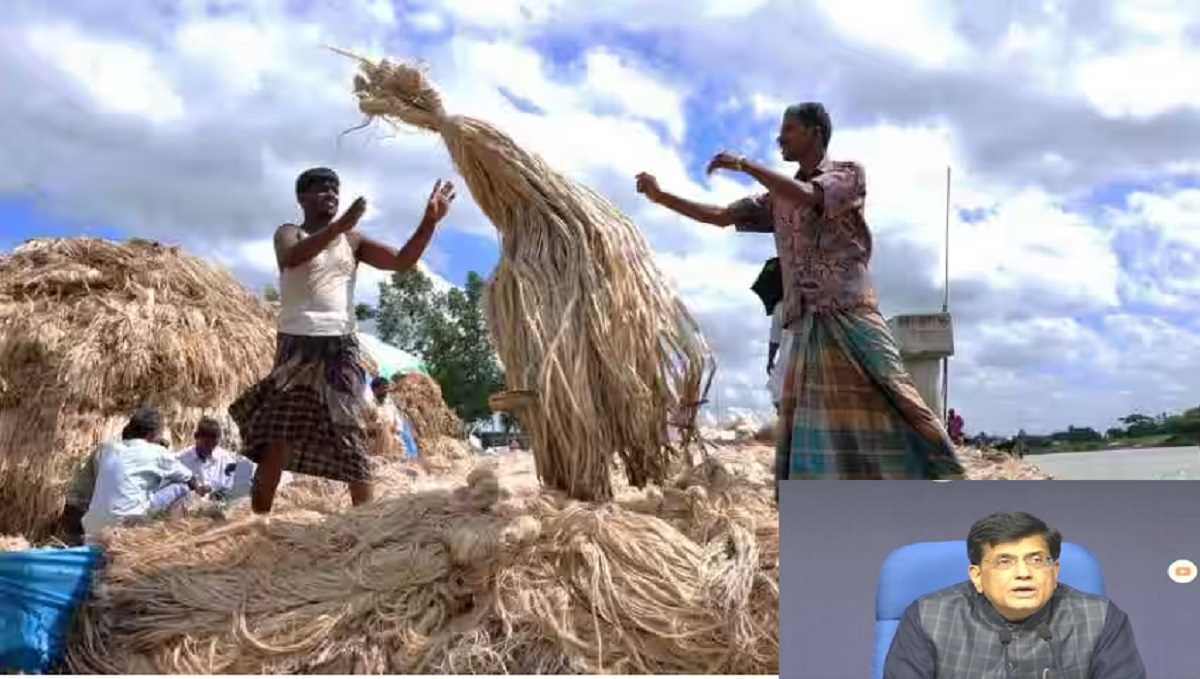 केंद्र सरकार ने किसानों को दिया बड़ा तोहफा, कच्चे जूट की एमएसपी बढ़ाई केंद्र सरकार ने किसानों को दिया बड़ा तोहफा, कच्चे जूट की एमएसपी बढ़ाई