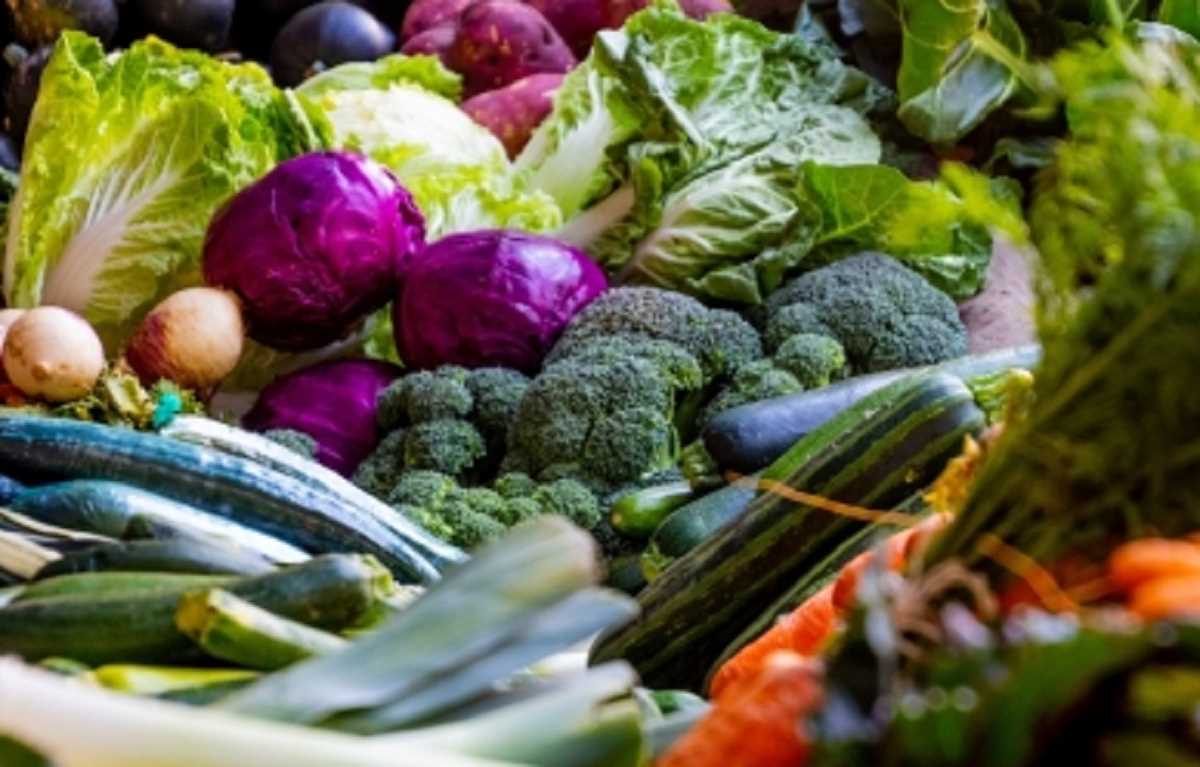 न्यूजीलैंड में खाद्य कीमतें 14 साल में सबसे अधिक