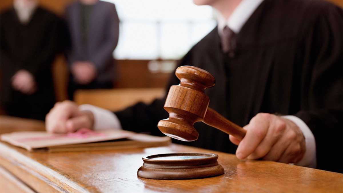 जर्मन जलवायु कार्यकर्ता को रिकॉर्ड जेल की सज़ा