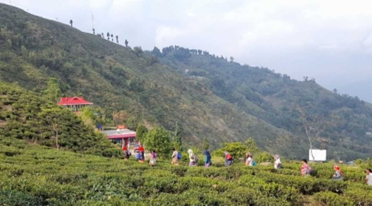 17 से 20 नवंबर तक सील रहेगी भारत-नेपाल सीमा, चौकस हुईं सुरक्षा एजेंस‍ियां