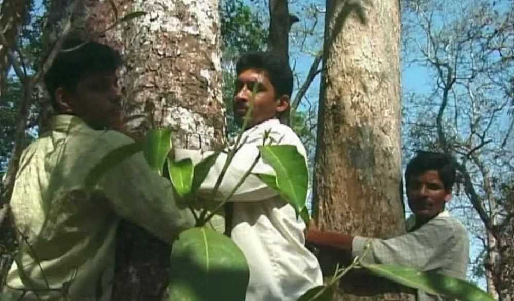 चिपको की तरह दक्षिण भारत का अप्पिको