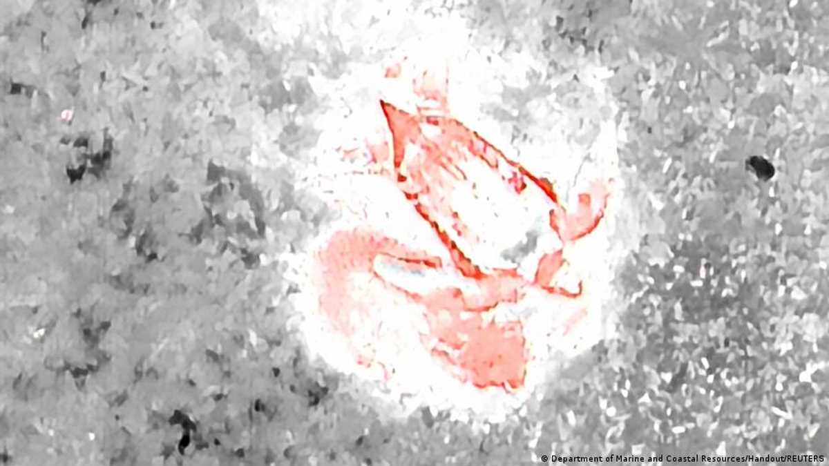 ड्रोन से दिखाई दिए अंडे देते दुर्लभ कछुए ड्रोन से दिखाई दिए अंडे देते दुर्लभ कछुए