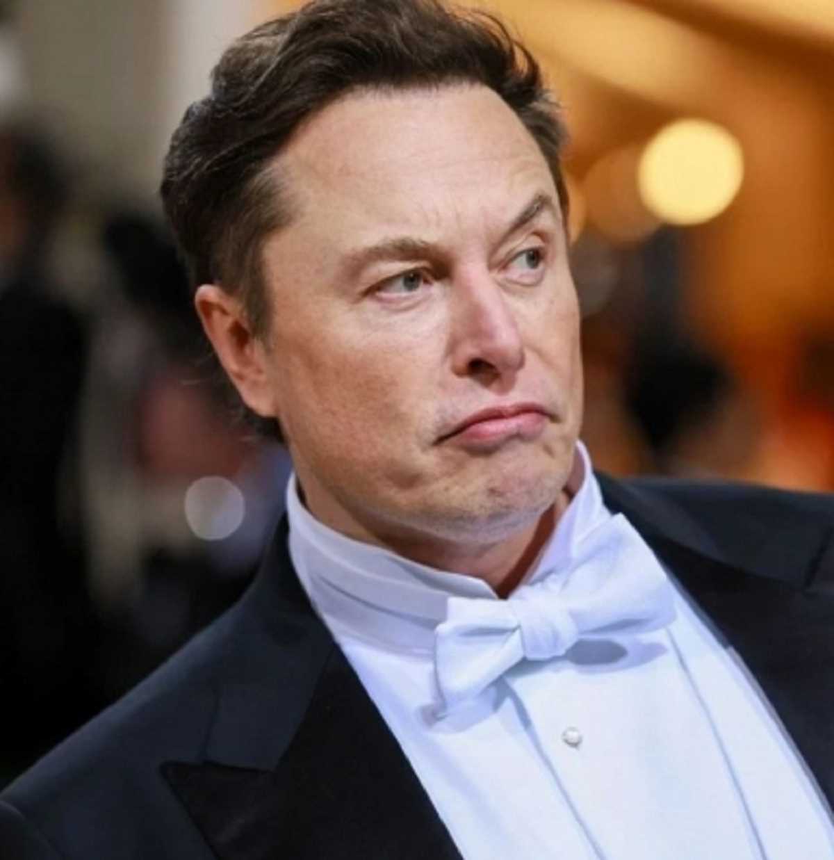 एलन मस्क ने सुनाई पहली अच्छी खबर, कहा- ट्विटर पर नफरती बोल में हुई कमी