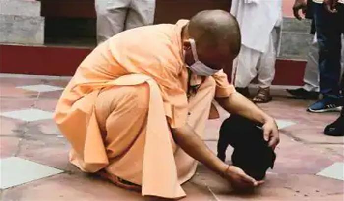 इंटरनेट सेंसेशन बना योगी का गुल्लू इंटरनेट सेंसेशन बना योगी का गुल्लू