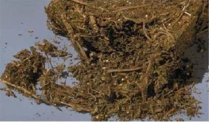 अवैध गांजा ले जाते 2 अारोपी गिरफ्तार