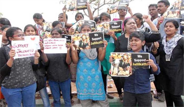 जलीकट्टू के लिए छात्रों और युवाओं का आंदोलन जारी