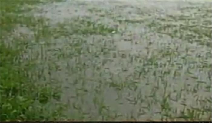 कर्नाटक में बारिश से तबाही : 24 लोगों की मौत, 5 लाख हेक्टेयर फसल नष्ट