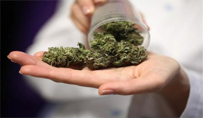 कोटा में एक किलो 100 ग्राम गांजे सहित एक गिरफ्तार