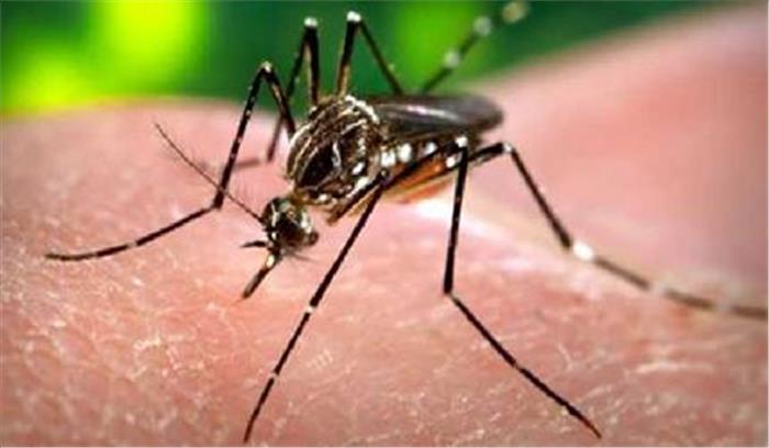 राजधानी में लौटा मच्छरों का आतंक