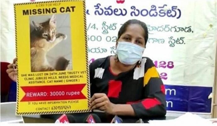 पालतू बिल्ली की जो खैरखबर बताएगा, हैदराबाद की महिला उसे देगी 30 हजार रुपये पालतू बिल्ली की जो खैरखबर बताएगा, हैदराबाद की महिला उसे देगी 30 हजार रुपये
