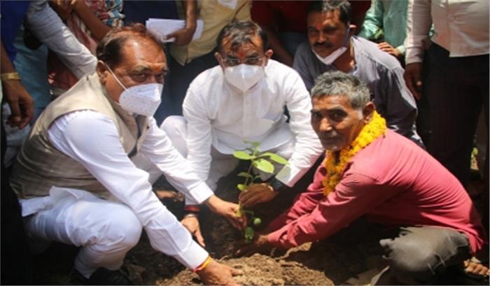 पौधों को बचाने के लिए मप्र के भाजपा कार्यकर्ता निभाएंगे मां की भूमिका : शर्मा