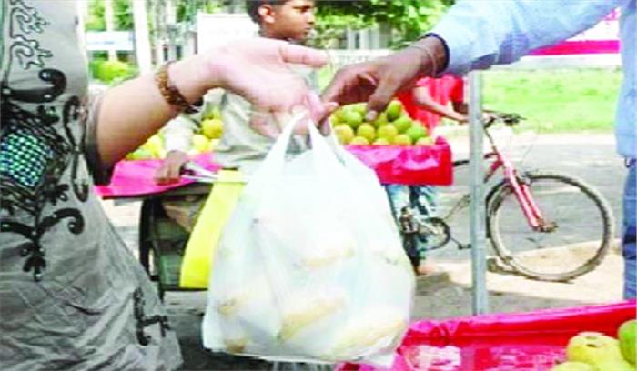 पॉलीथिन जागरूकता को लेकर एक साल पहले बनी टीम, काम शून्य