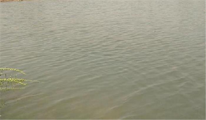 तालाब में मिला एक अज्ञात व्यक्ति का शव