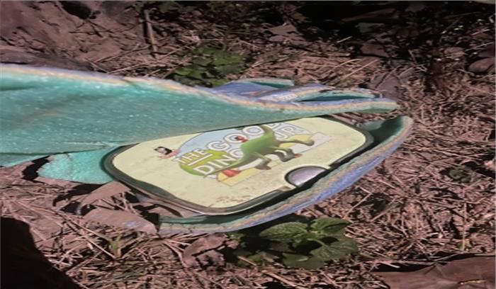 पंजाब पुलिस ने बरामद किया टिफिन बम और 4 हथगोले