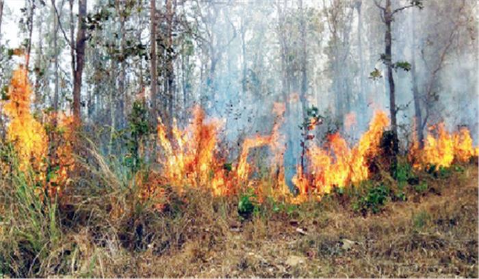 जंगलों में बढ़ा दावानल का खतरा
