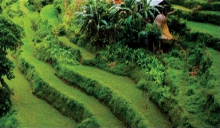 संयुक्त राष्ट्र की देशों से अपील : 1 अरब हेक्टेयर भूमि को बहाल करें