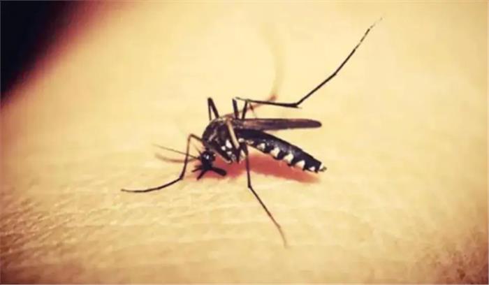 कानपुर में थम नहीं रहा जीका वायरस का कहर, 16 नए मरीज मिले, आंकड़ा 100 के पार