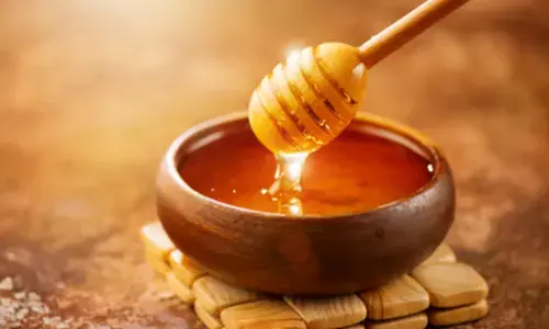 मानसून में त्वचा की हर परेशानी का हल है शहद, जानें इसके जबरदस्त फायदे मानसून में त्वचा की हर परेशानी का हल है शहद, जानें इसके जबरदस्त फायदे