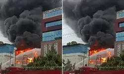 नोएडा की केमिकल कंपनी में लगी भीषण आग, दमकल की 12 गाड़ियां पहुंची घटनास्थल नोएडा की केमिकल कंपनी में लगी भीषण आग, दमकल की 12 गाड़ियां पहुंची घटनास्थल