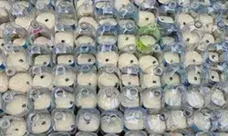 दक्षिण कोरिया : उत्तर कोरिया को चावल और डॉलर से भरी प्लास्टिक की बोतलें भेजने की कोशिश करने पर 6 अमेरिकी गिरफ्तार