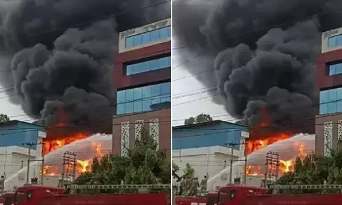 नोएडा की केमिकल कंपनी में लगी भीषण आग, दमकल की 12 गाड़ियां पहुंची घटनास्थल