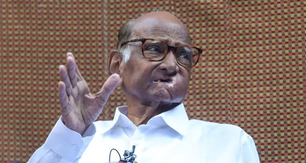 भाषा विवाद : शरद पवार बोले- कक्षा एक से हिंदी अनिवार्य करना सही नहीं, 5वीं के बाद पढ़ाई जाए