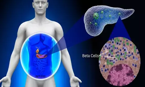 आईआईटी बॉम्बे की रिसर्च में खुलासा, शरीर में मौजूद कॉलेजन प्रोटीन से बढ़ रहा डायबिटीज का खतरा