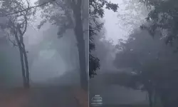 मिट्टी-पानी बचाने की अच्छी परंपराएं