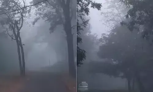 मिट्टी-पानी बचाने की अच्छी परंपराएं