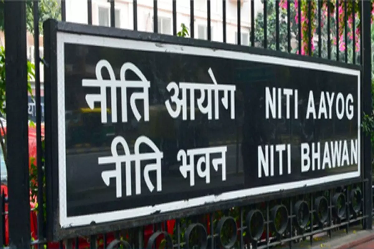 भारत का केमिकल सेक्टर 2040 तक 1 ट्रिलियन डॉलर तक पहुंच सकता है : नीति आयोग