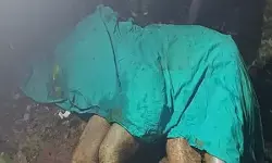 झारखंड के जंगल में नक्सलियों के बारूदी विस्फोट ने ली गजराज की जान