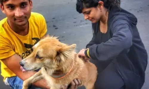 भारत के 80 प्रतिशत सार्वजनिक स्वास्थ्य केंद्रों में उपलब्ध एंटी-रेबीज वैक्सीन : लैंसेट रिपोर्ट