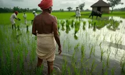 भारत को विकास के पथ पर लाने के लिए जब 1951 में शुरू हुई पहली पंचवर्षीय योजना, जो बाद में बनी भारतीय अर्थव्यवस्था का आधार
