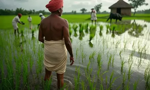 भारत को विकास के पथ पर लाने के लिए जब 1951 में शुरू हुई पहली पंचवर्षीय योजना, जो बाद में बनी भारतीय अर्थव्यवस्था का आधार