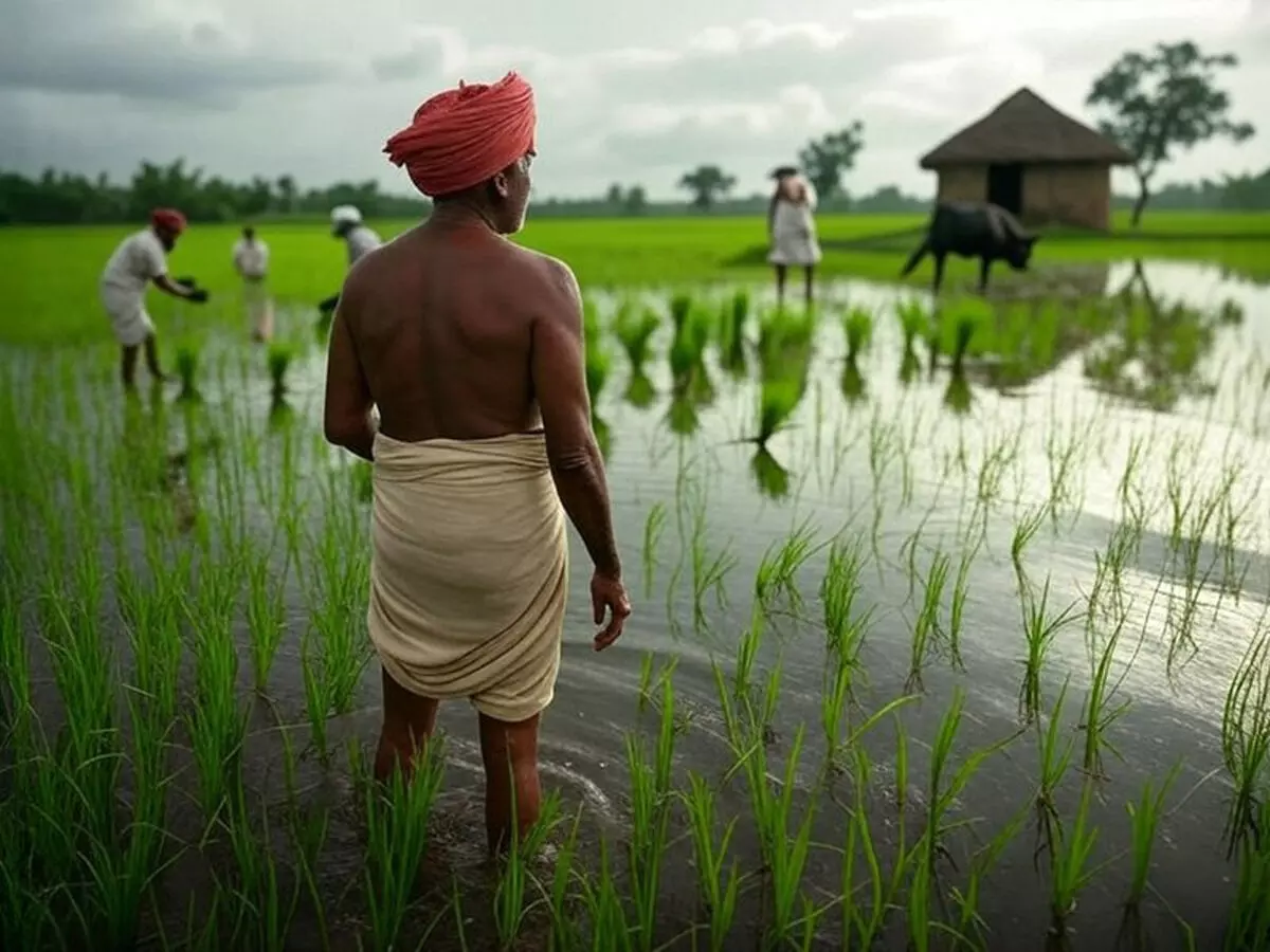 भारत को विकास के पथ पर लाने के लिए जब 1951 में शुरू हुई पहली पंचवर्षीय योजना, जो बाद में बनी भारतीय अर्थव्यवस्था का आधार